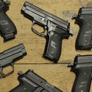 Sig Sauer P229 40 S&W DA/SA Police Trade-in Pistols (Good Condition)